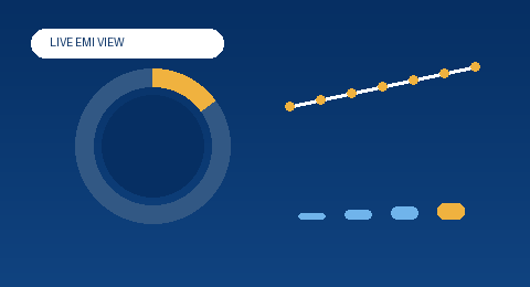 Animated loan result chart